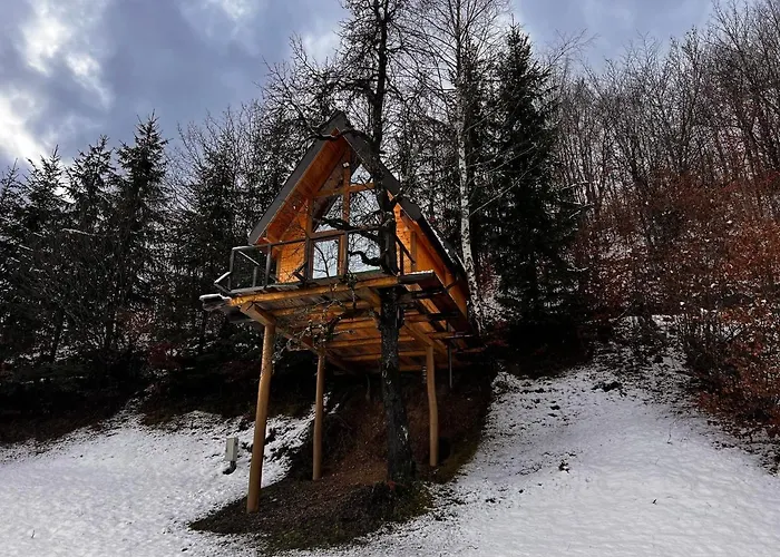 Tree House - Tara Place