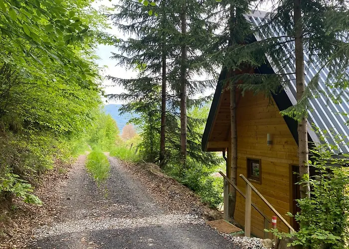 Tree House - Tara Place