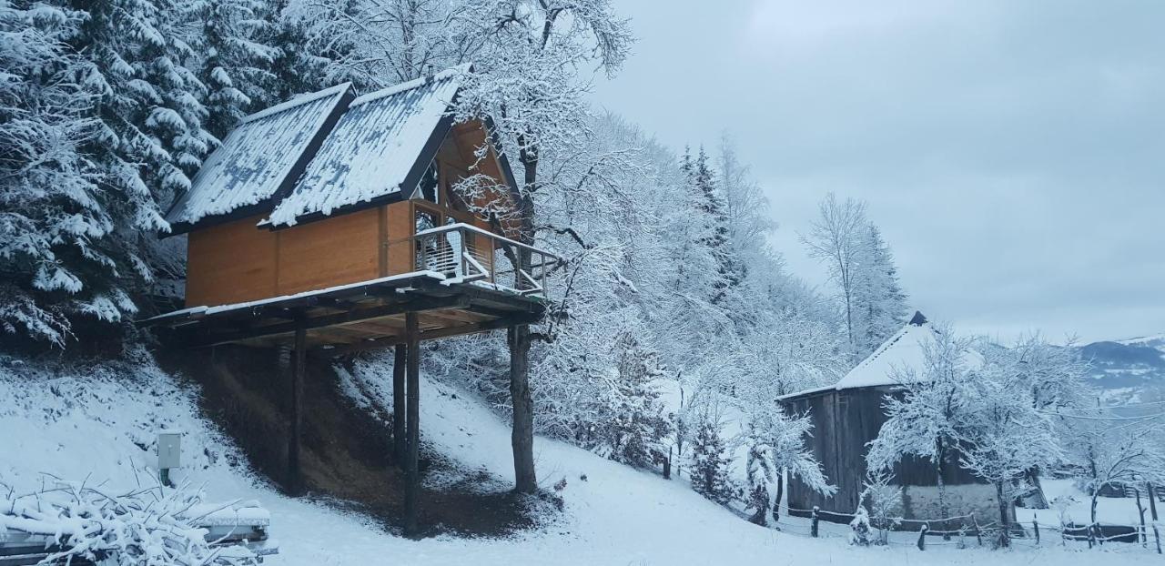 Tree House - Tara Place Dağ evi Mojkovac