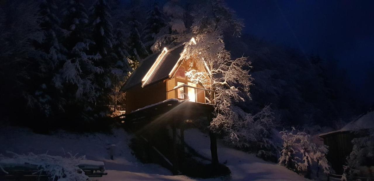 Dağ evi Tree House - Tara Place *