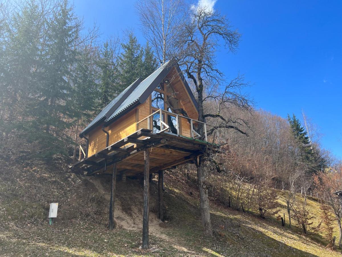 Dağ evi Tree House - Tara Place *