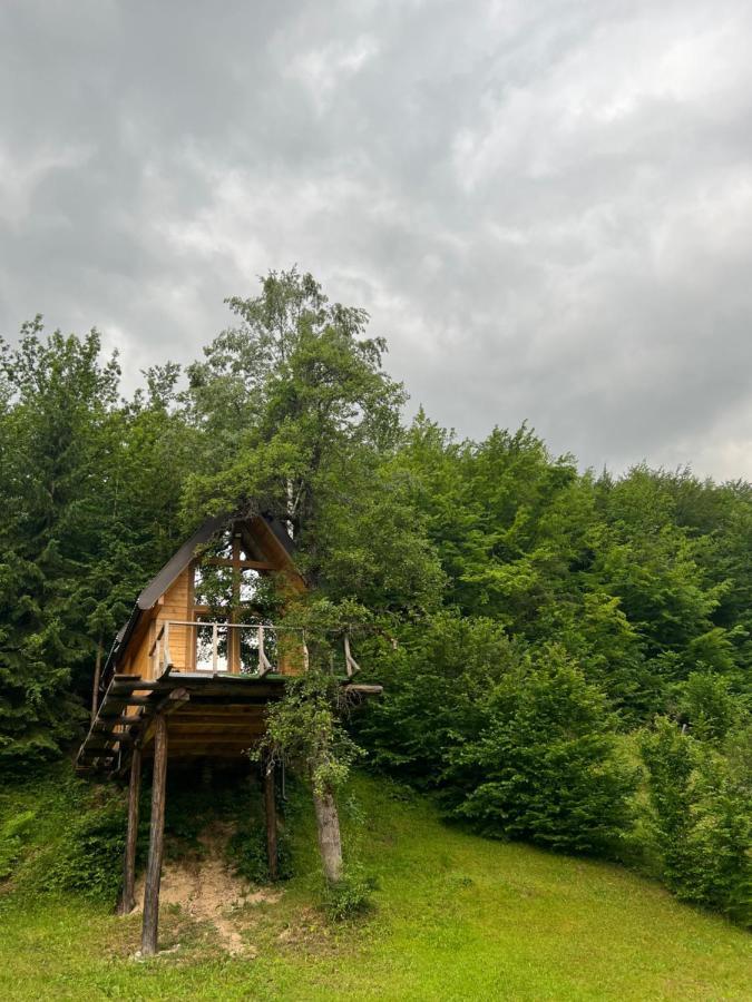 Tree House - Tara Place *