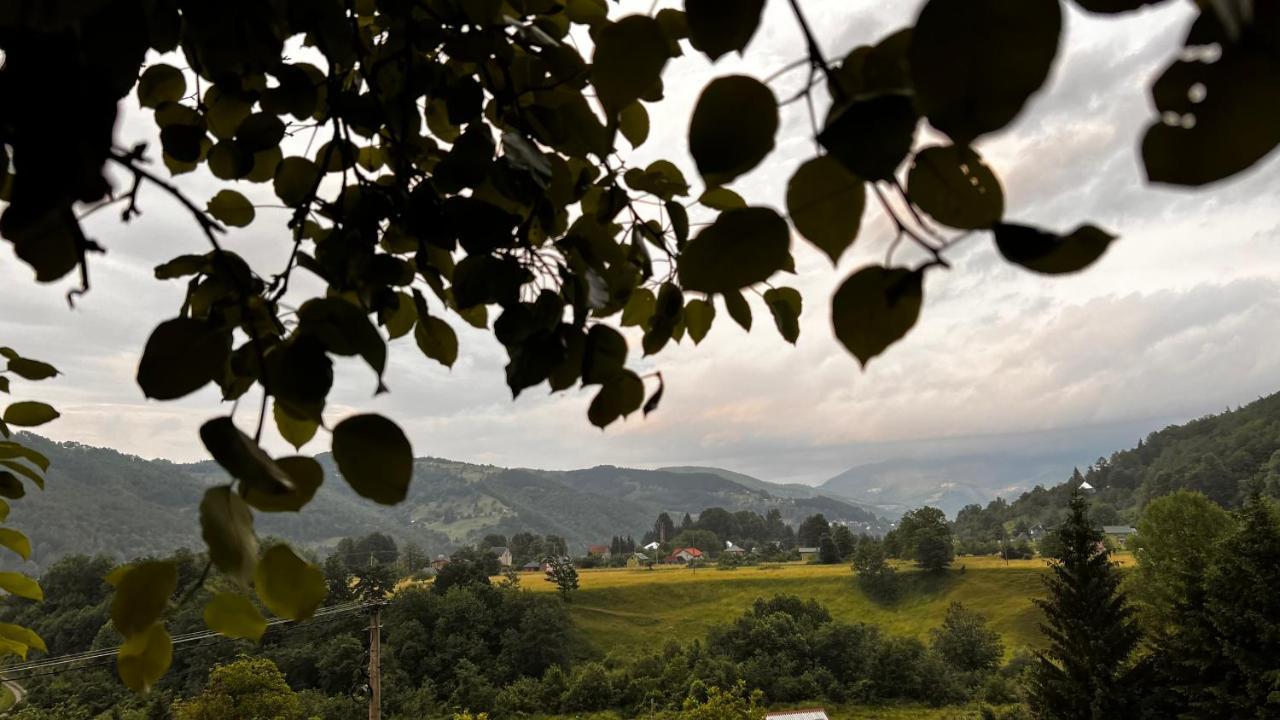 Dağ evi Tree House - Tara Place