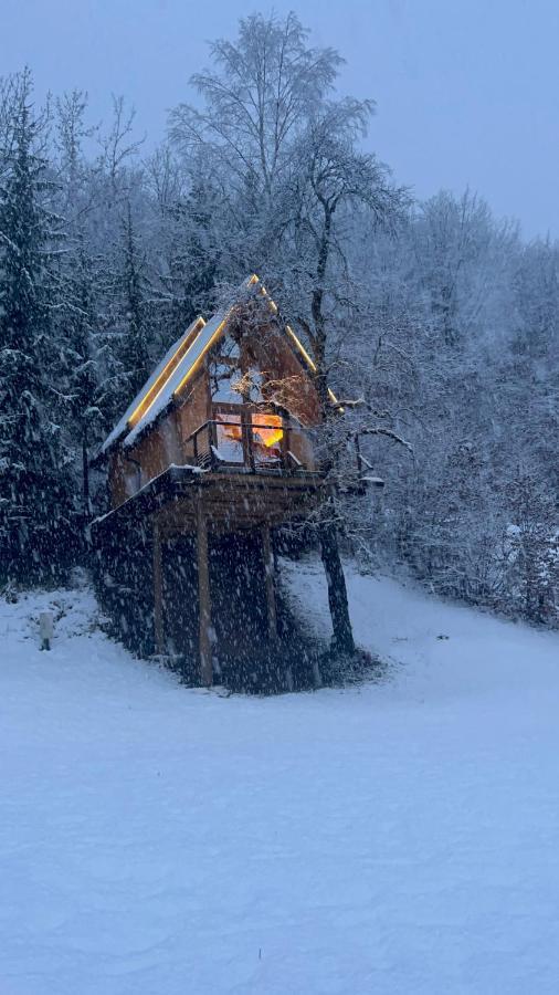 Tree House - Tara Place *