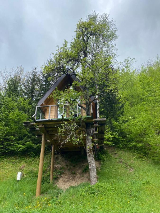 Tree House - Tara Place * Mojkovac