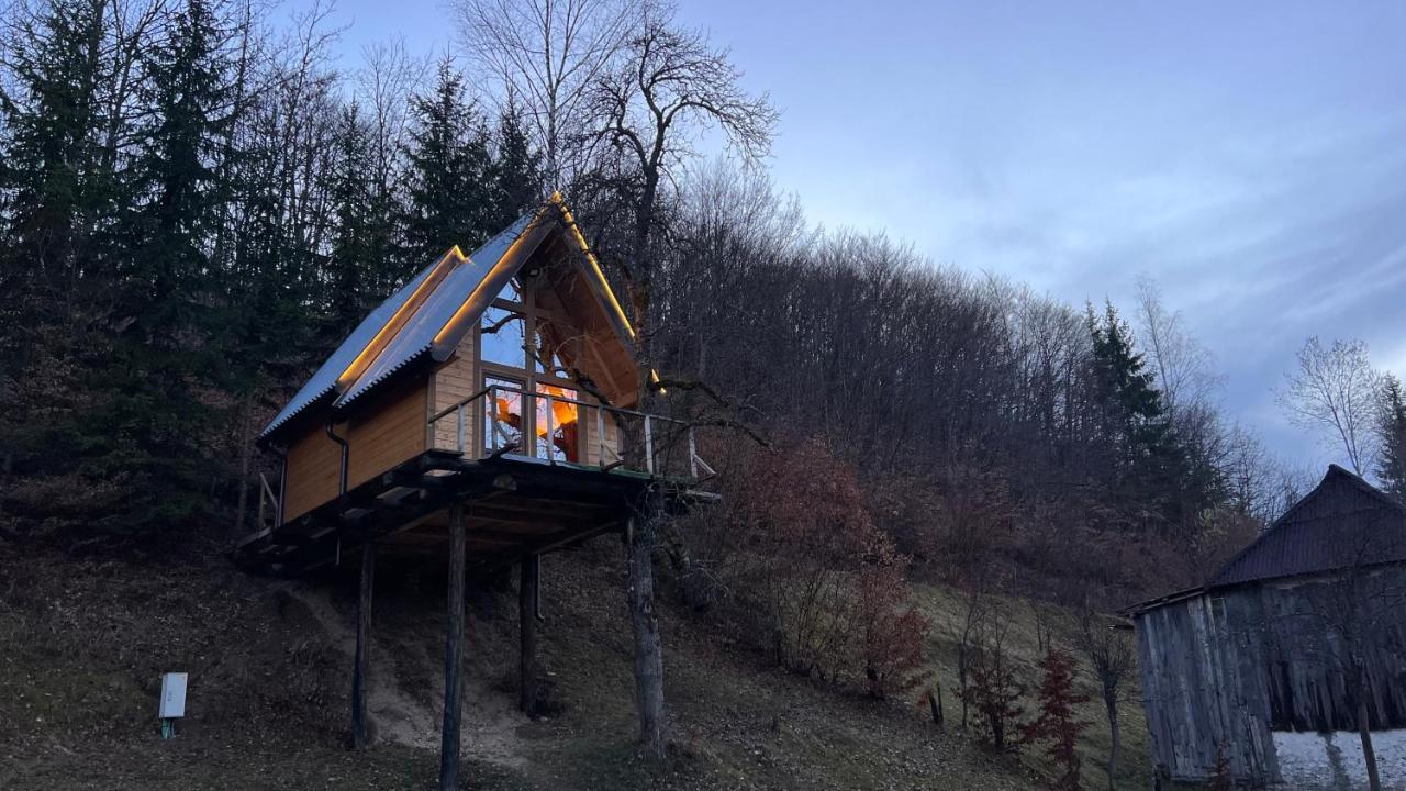 Chalet Tree House - Tara Place